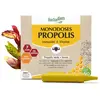 Herbalgem Propolis Bio 7 ampoules