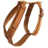 Kentucky - Harnais pour chien actif velours orange S 26-40cm