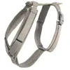 Harnais pour chien actif Kentucky Velvet Beige XS 42640-32-XS