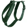 Harnais pour chien actif Kentucky Velvet Vert XL 42640-74-XL