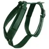 Harnais pour chien actif Kentucky Velvet Vert M 42640-74-M