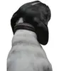 Dyon Collier De Chien Plaited
