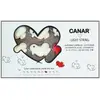 Babywatch Guirlande lumineuse Collection Canar modèle Love Vilain