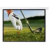 Napofix S11-1800 Ecran de Projection Manuel 180 x 180 cm Blanc