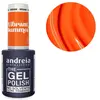 Vernis semi-permanent The Gel Polish Andreïa Professional VS3