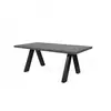 Temahome - Table à manger 200x100x76 cm décor béton - apex