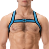 Harnais élastique COLIN Bleu S