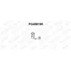 VENEPORTE S.A. Catalyseur pour PEUGEOT: 206, 206+ (Ref: PG45819K)