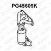 Cat.208/Ds3 1.4/1.6vti H 04/10-07/15 Pg45609k Veneporte Citroën; Mini;...