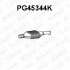 VENEPORTE S.A. Catalyseur pour PEUGEOT: 206 (Ref: PG45344K)