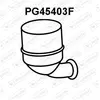 VENEPORTE S.A. Filtre à particules / FAP pour PEUGEOT: 207, Partner, 208, 5008, 3008, 4008, 301, 508, 308, 2008 & CITROËN: C5, DS3 (Ref: PG45403F)