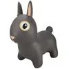Find That Hippo Lapin