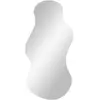 Miroir palermo - miroir 40x80 cm 4001595