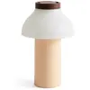 Lampe nomade pêche bicolore 22 x 14 cm PC Portable - HAY
