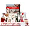 CC Hobby Coffret créatif porte de lutins « Scènes de Noël »