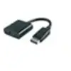 Microconnect DPHDMI3 câble vidéo et adaptateur 0,15 m DisplayPort HDMI...