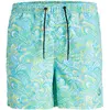 Jack & Jones Short De Bain 12234512