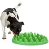 Gamelle Northmate plateau anti glouton pour chien 40 x 30 x 10 cm Vert
