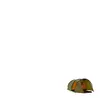 Tente Grand Canyon Robson 3 Alu vert olive