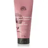 Urtekram Dare to Dream, Après-Shampooing Délicat à la Rose Sauvage, Biologique
