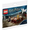 LEGO® Harry Potter  30420 Harry Potter et Hedwige (polybag)