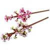 LEGO The Botanical Collection - Les fleurs de cerisier - 40725