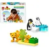 DUPLO - Familles d'animaux sauvages: pingouins et lions - 10442