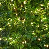 Sirius Guirlande LED Knirke pour l’extérieur, 160 lampes