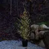 Sirius Arbre à LED Milas Cedar Tree en pot, pour l'extérieur