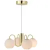 Nordlux franca plafonnier suspendu multi-bras en laiton e14 2312543035