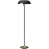 AYTM lampe sur pied Cycnus, noir, fer, hauteur 160 cm, E27