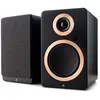 Enceintes sans fil hi-fi Argon Audio Forte A5 MK2 Noir