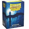 Arcane Tinmen Dragon Shield Standard Size Matte Dual Sleeves - Wisdom (100 Sleeves)