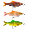 Savage Gear Leurre Souple 3d Line Thru Glide Roach 170g 230 Mm
