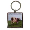 Porte clé Pink Floyd  Atom Heart Mother