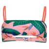 Superdry Haut de bikini bandeau pour femme avec imprimé tropical, Malibu Pink Paradise, XS