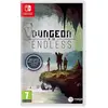 Nintendo Switch Dungeons Of The Endless Includes Artbook/keychain/4 Dl...