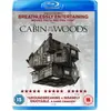 Lionsgate Cabin In The Woods (Blu-Ray) - BluRay - [Format BluRay Version Originale]
