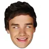 RueDeLaFete Masque en Carton Liam Payne-One direction-