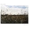 and The Sun/White Vinyl