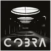 Disques vinyles populaires : Cobra