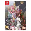 Premium Rune Factory Guardians of Azuma Limited Edition Nintendo Switch