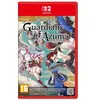 Nintendo Switch 2 Rune Factory Guardians Of Azuma