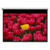 Optoma Panoview DE-9120EGA - ecran de projection - 120 (305 cm)