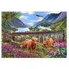 Pièces XXL - Les Dames des Glenfinnan 500 Pièces  HOP - House of Puzzles