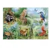 Pièces XXL - Etude Naturelle 250 Pièces  HOP - House of Puzzles