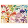 HOP - House of Puzzles La Manie Des Champignons