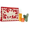 Pai Skincare The Rosehip Ritual Coffret soin visage 1 art.