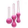 Je Joue Kit Boules de Geisha Ami Rose