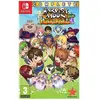 PLAION Harvest Moon Light of Hope Complete Special Edition Jeu Switch